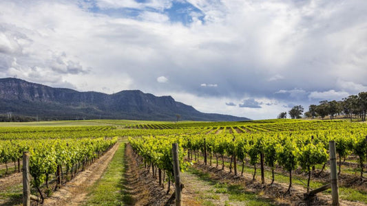 How to Get Around Hunter Valley Wineries