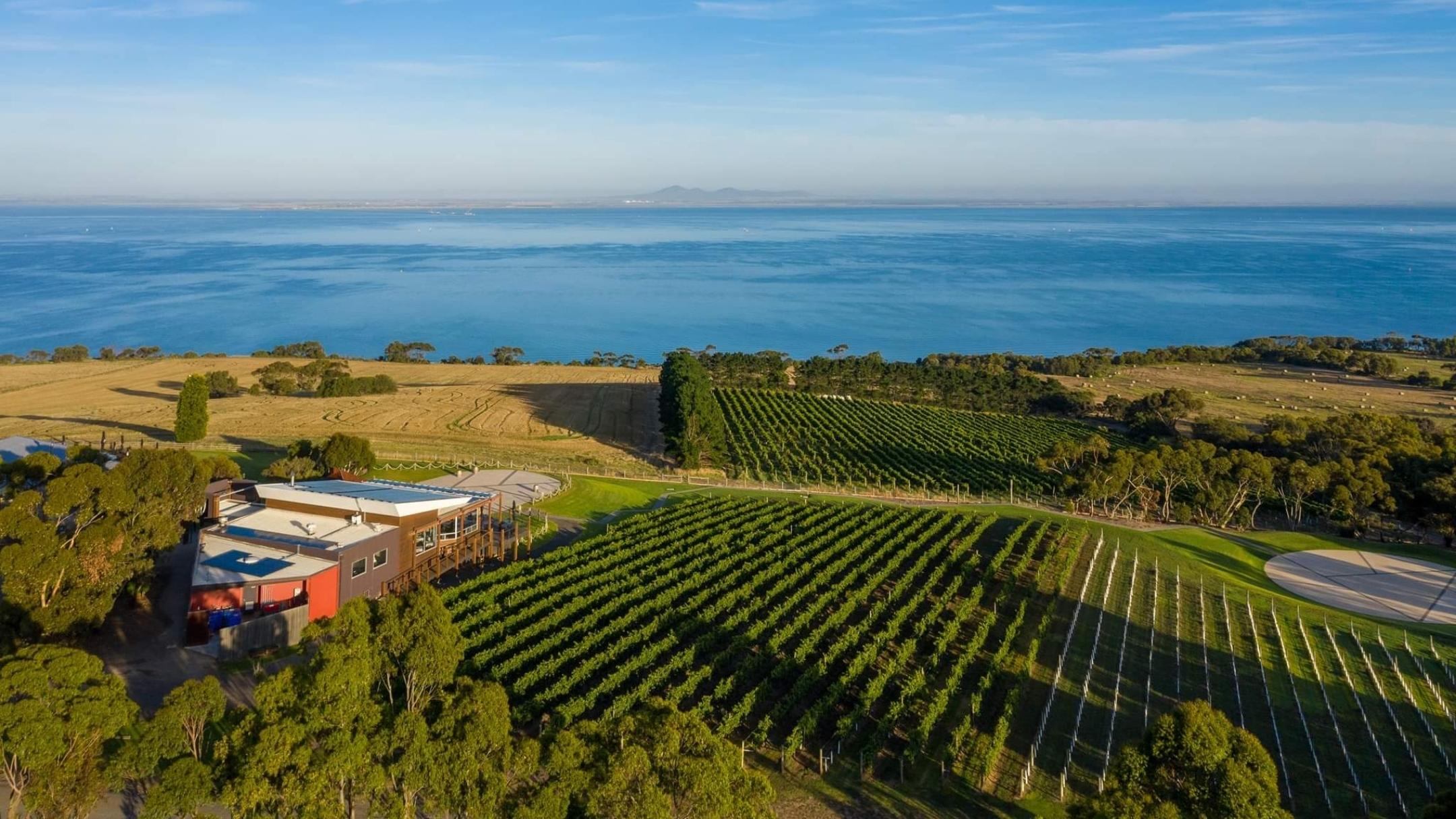 Jack Rabbit Winery in the Bellarine Peninsula