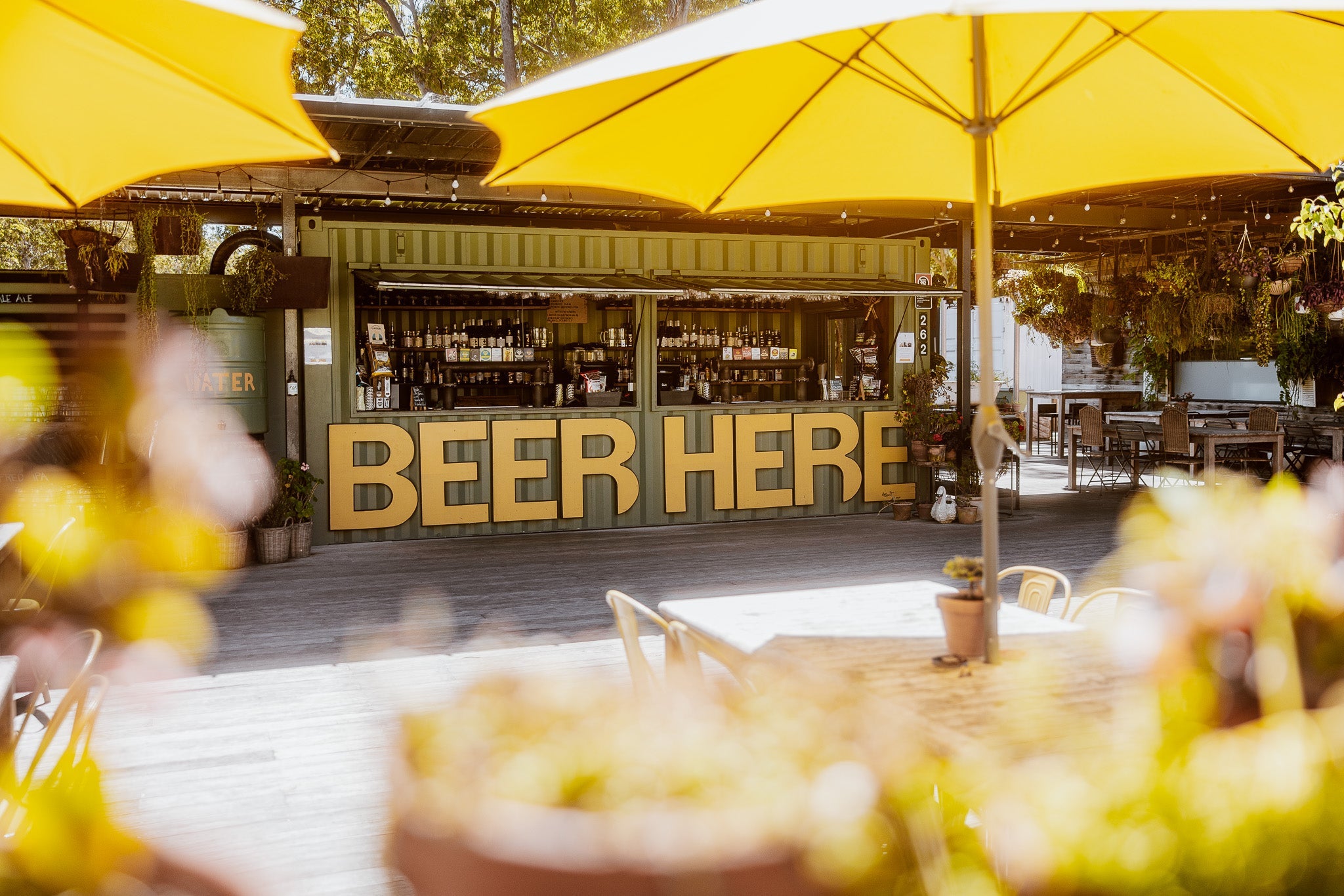 Sydney - Hunter Valley Breweries