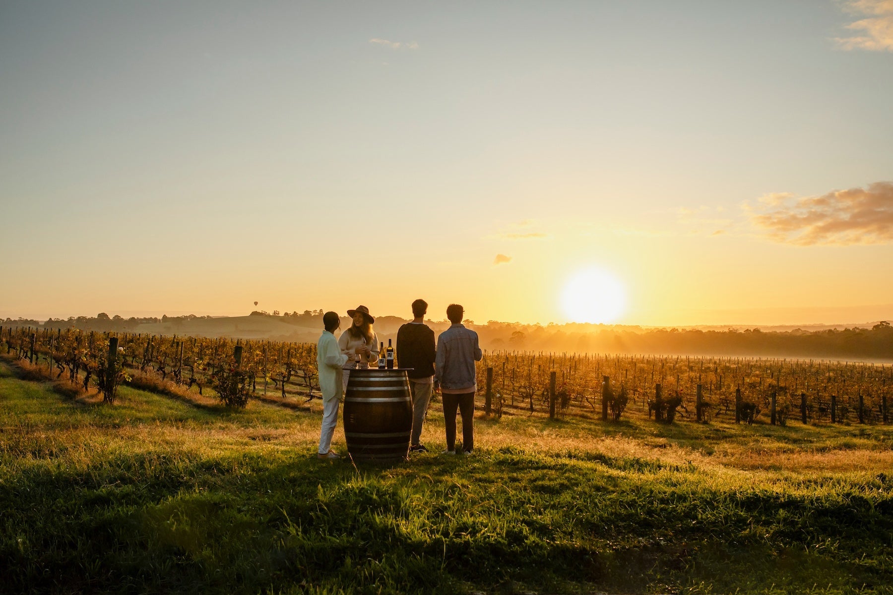 Hunter Valley Helicopter Wine Tours From Sydney