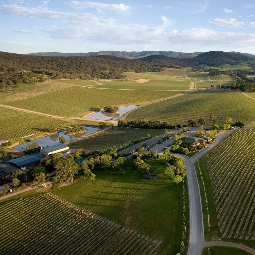Winery Proposal in Yarra Valley at De Bortoli Wines