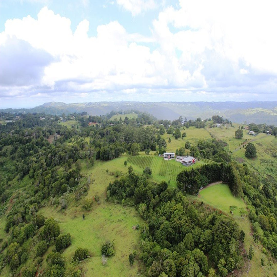 Flame Hill Vineyard Helicopter Tour