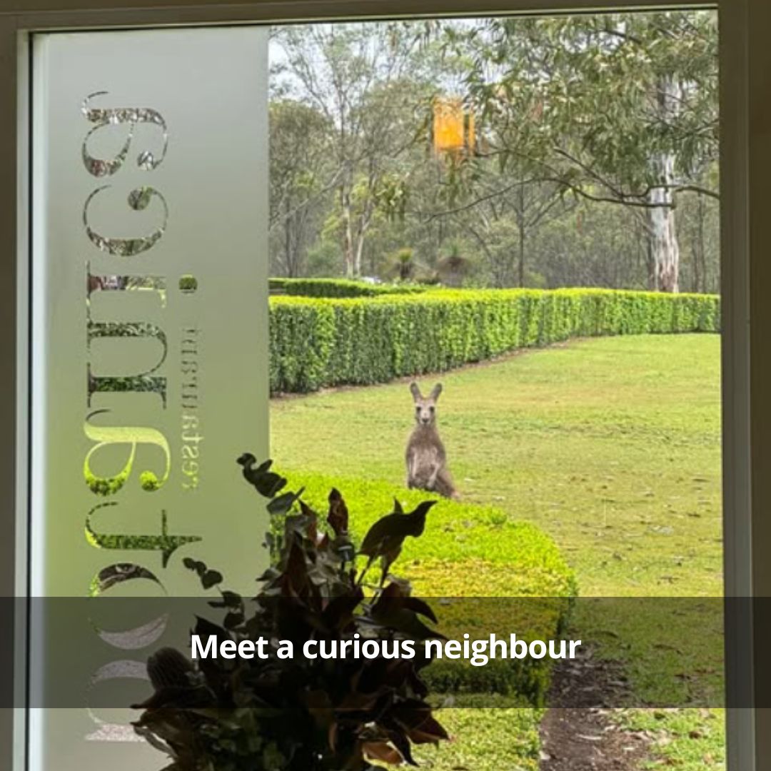 Spicers Vineyard Estate Hunter Valley