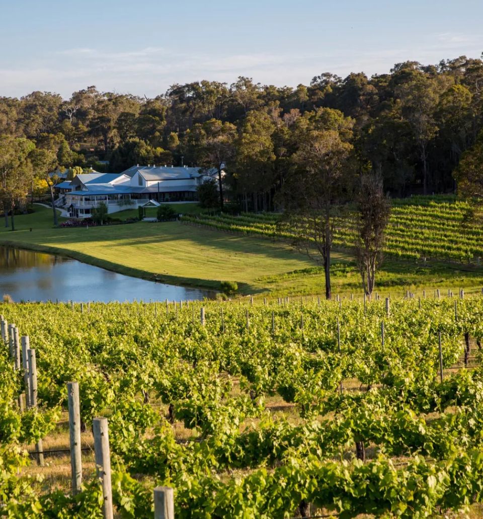 Margaret River Helicopter Winery Tour