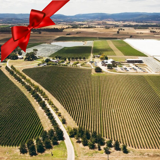 Gift Voucher - Meletos Winery Tour
