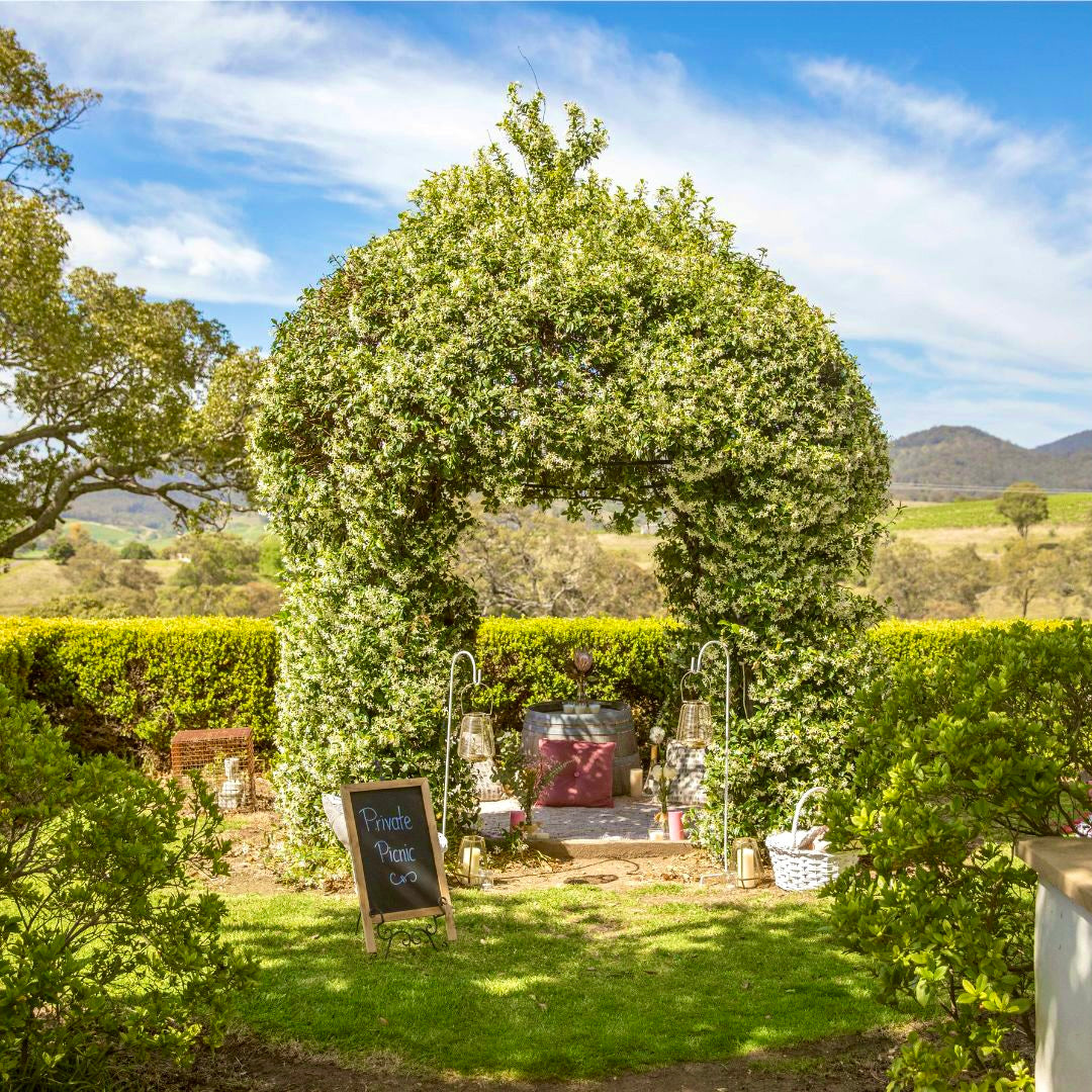 Suprise Picnic Proposal in Hunter Valley with Rotor One