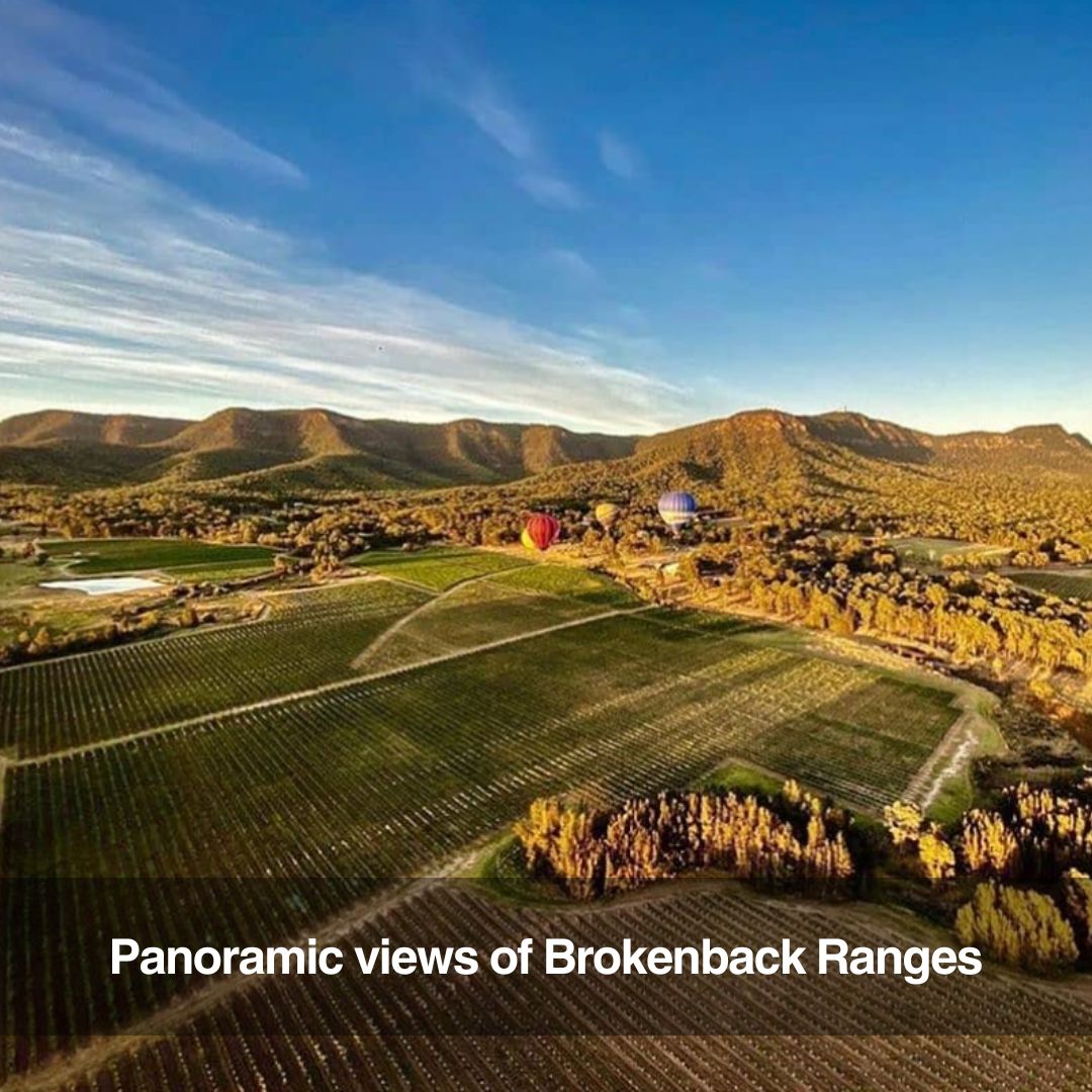 Wine tour to Brokenwood Wines by helicopter