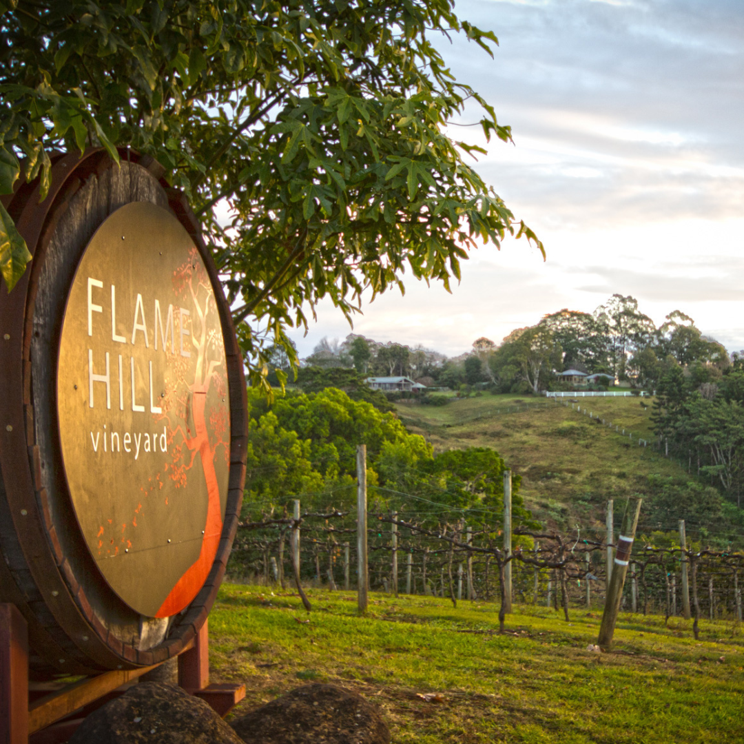 Flame Hill Vineyard Helicopter Tour