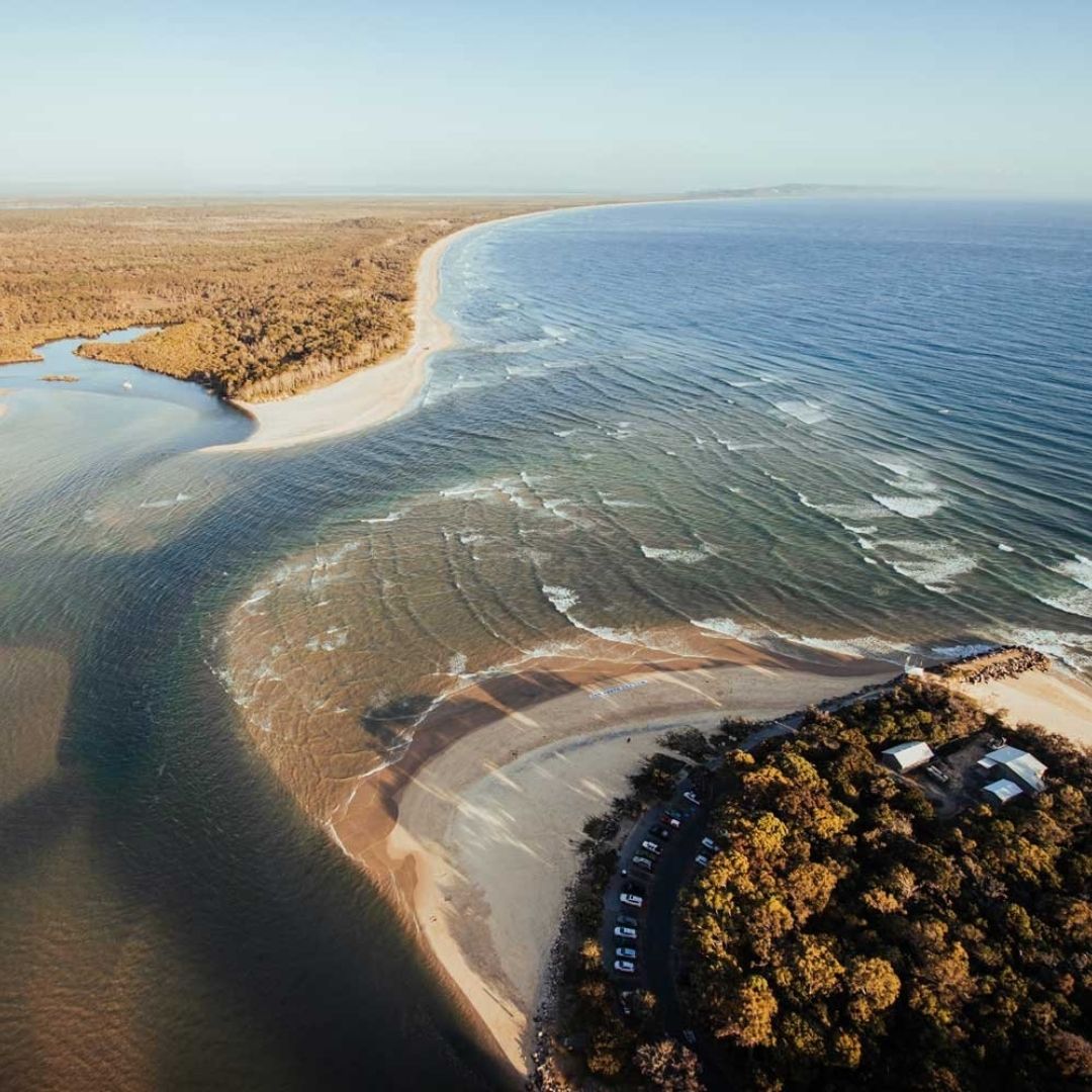 Noosa Coastal, Everglades & Shark Spotting