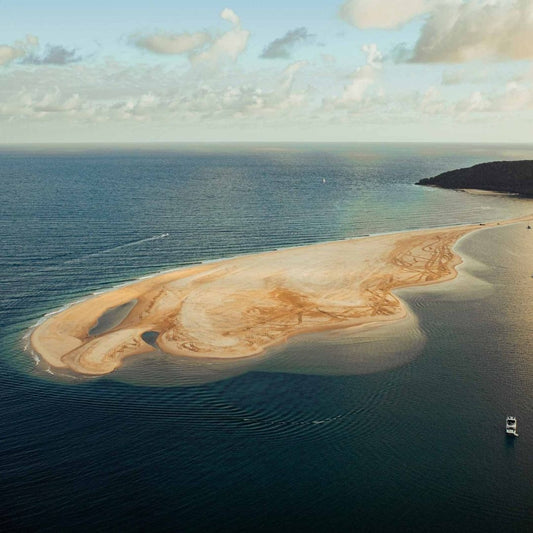 Noosa Coastal, Everglades & Shark Spotting