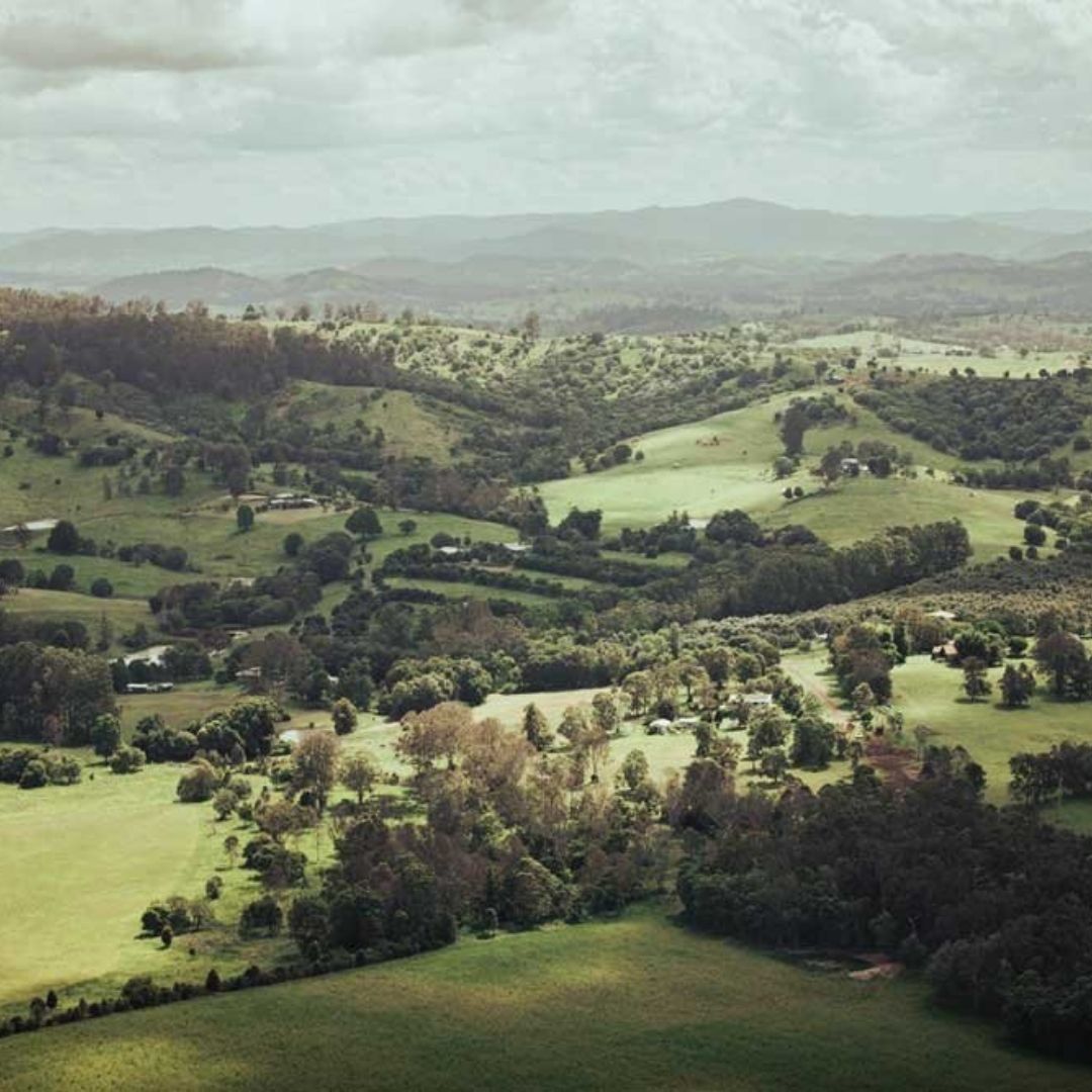 Noosa to Dingo Creek Vineyard Escape