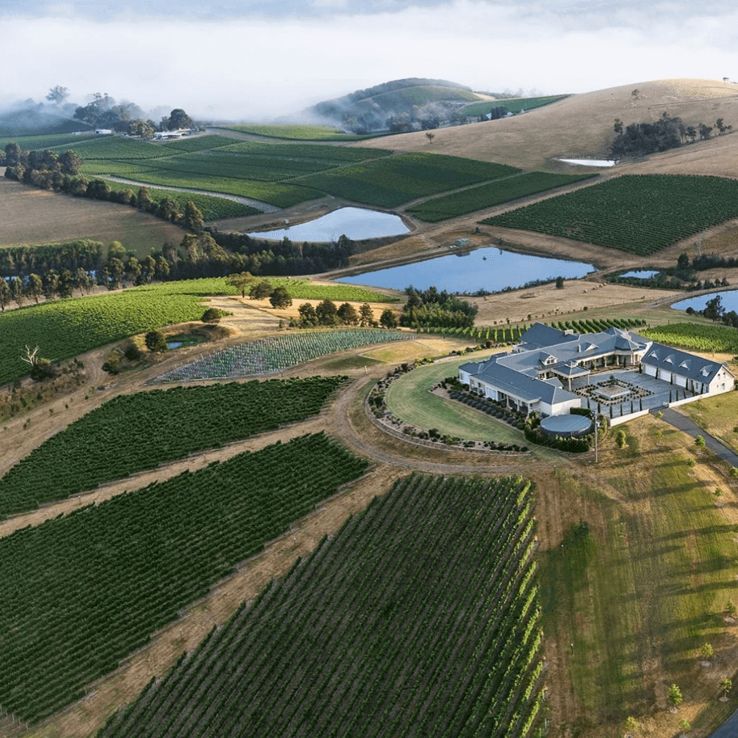 Helicopter Wine Tour To Levantine Hill In The Yarra Valley Rotor One helicopter-wine-tour-to-levantine-hill-in-the-yarra-valley-rotor-one