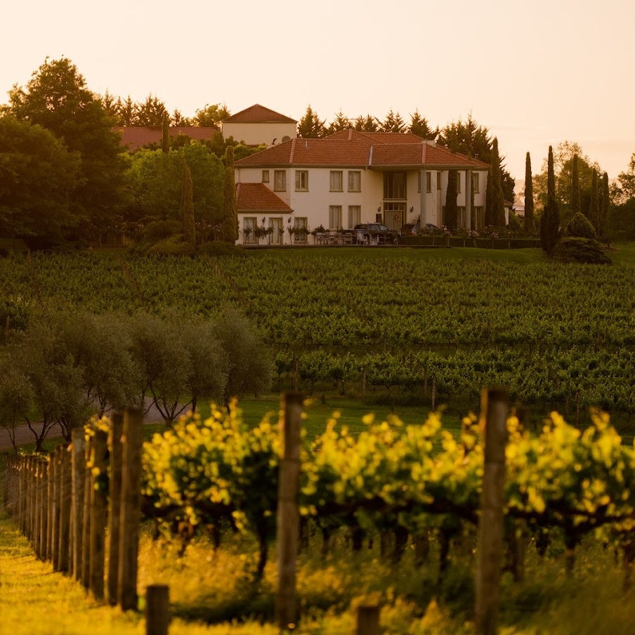 Tokar Estate by Helicopter