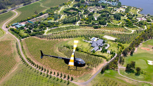 best Family Friendly Wineries in Hunter Valley