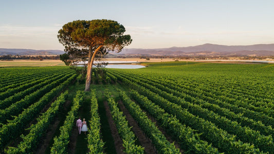 How Many Wineries Are in Yarra Valley?