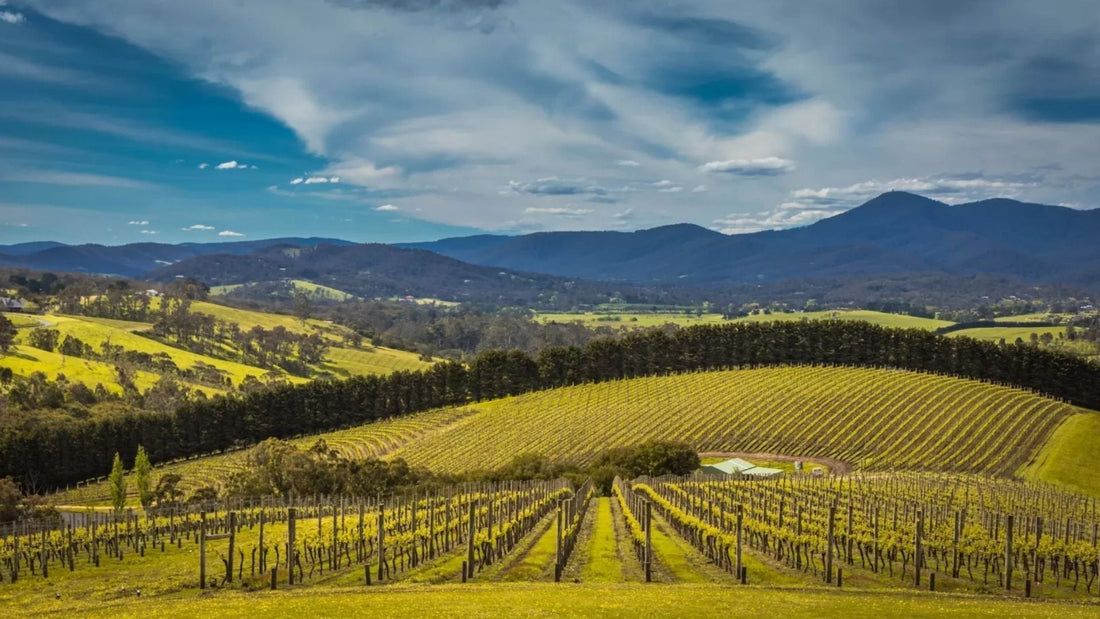 Yarra Valley Day Trip Itinerary
