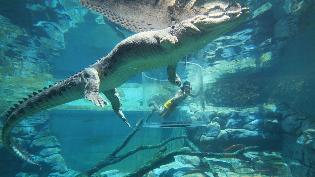 12 Best Things to Do in Darwin