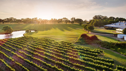 Best Wineries in Margaret River To Visit by Helicopter