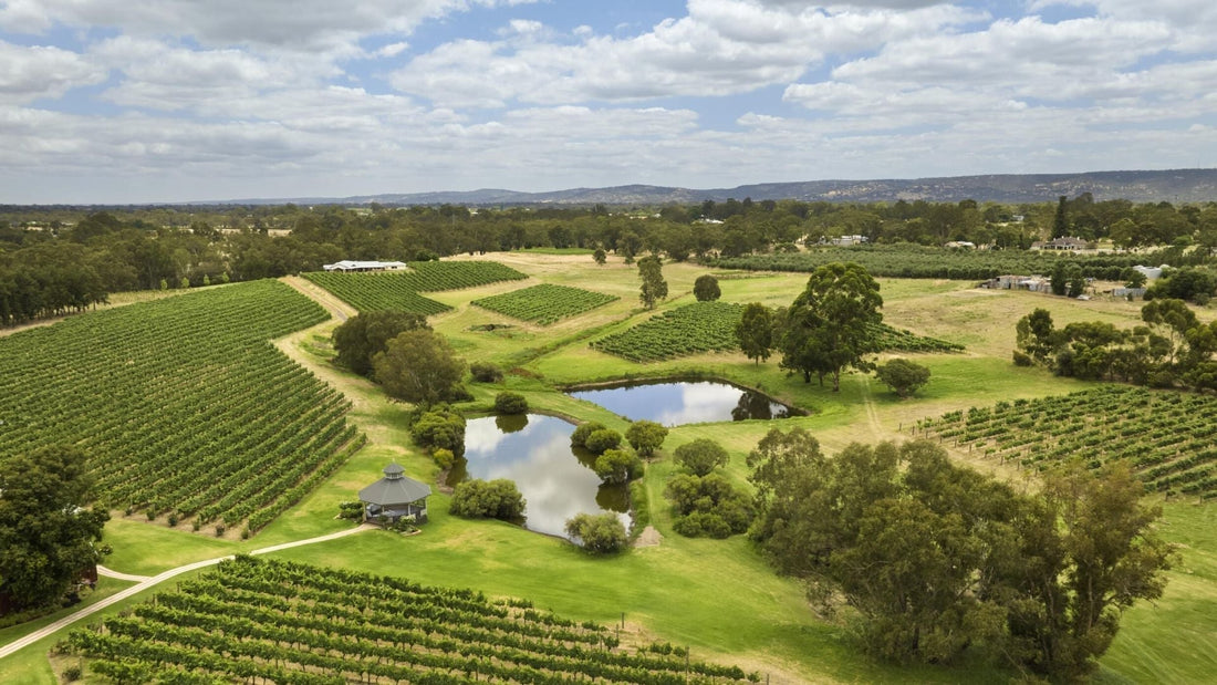 Best Helicopter Wine Tours in Perth