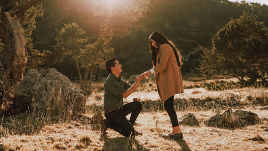 10 Best Places to Propose in Sydney