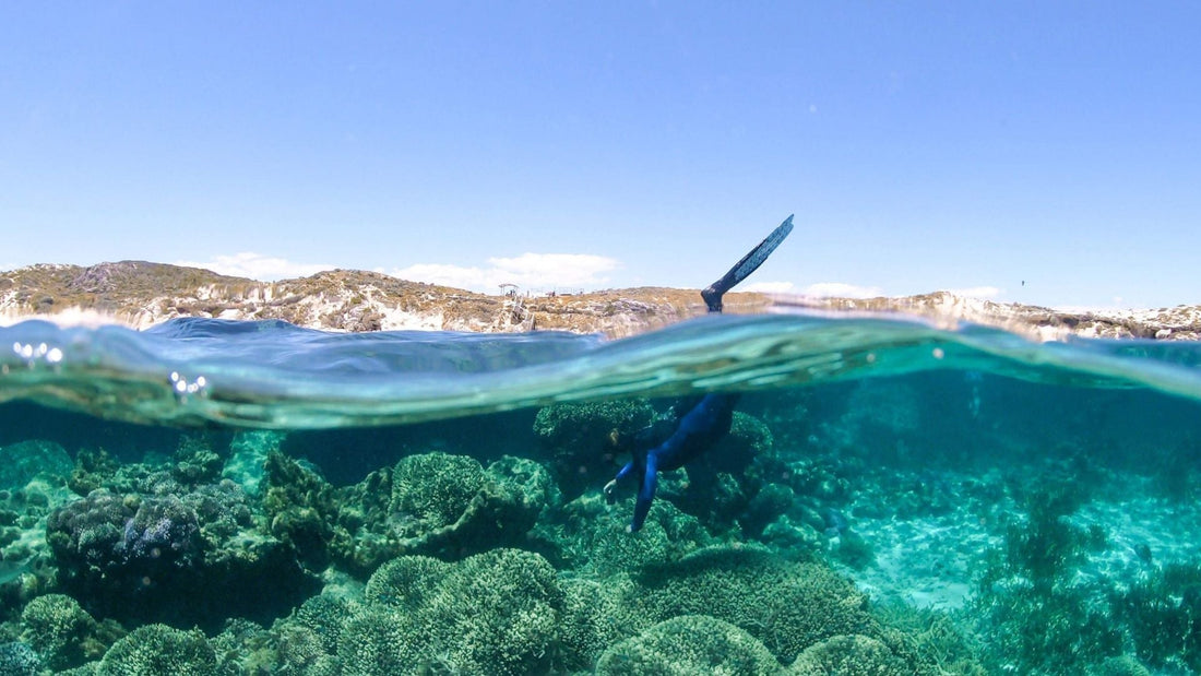 Unique Things to do in Margaret River Region