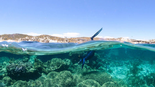 Unique Things to do in Margaret River Region