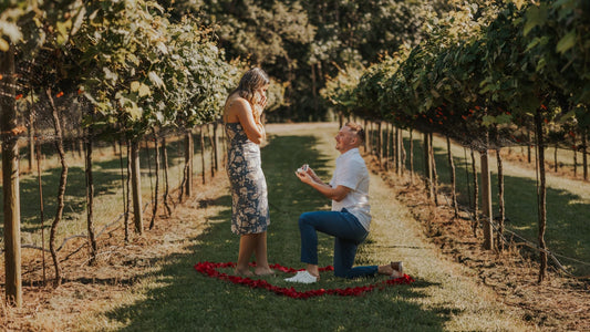 Hunter Valley Proposal Packages