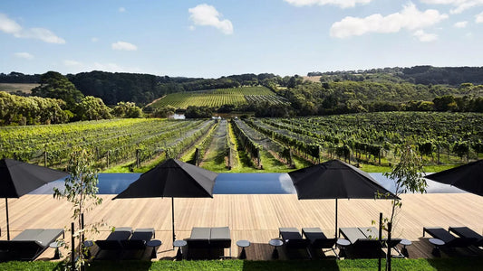 14 Best Wineries in Mornington Peninsula