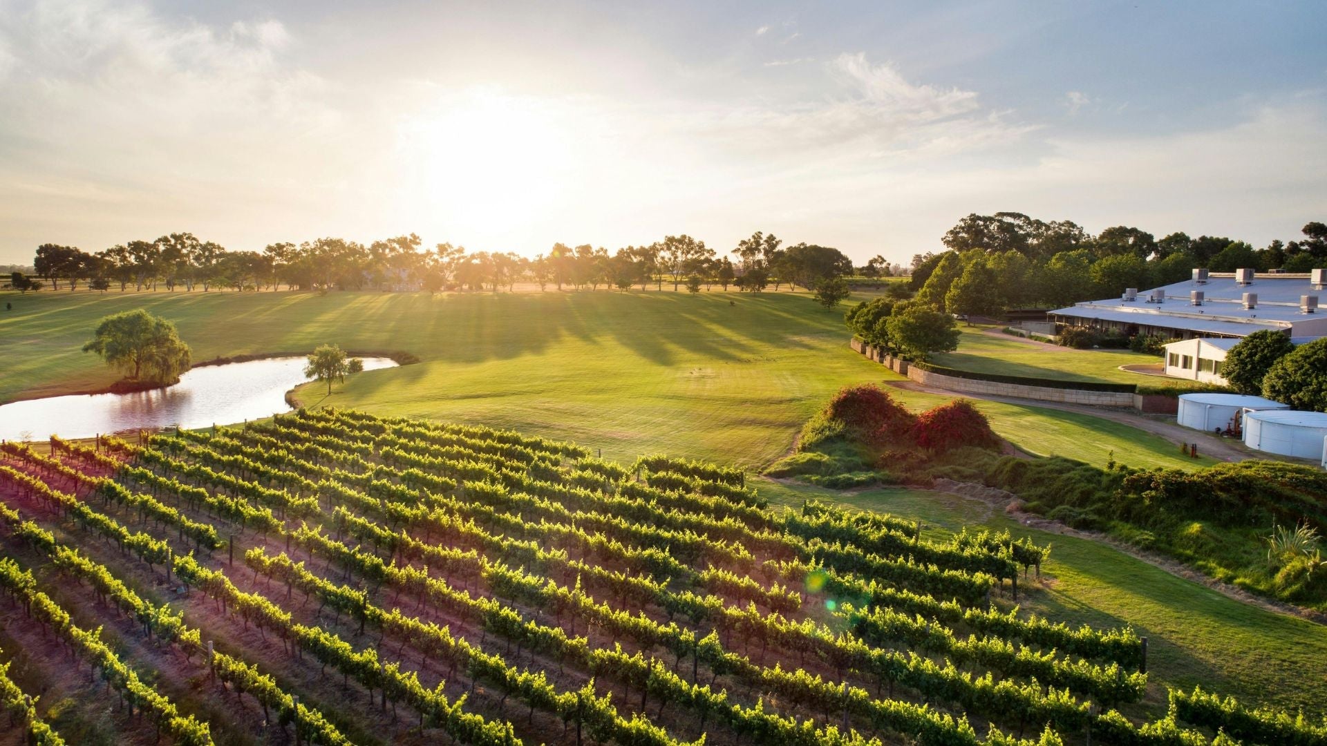 Helicopter Wine Tours Perth
