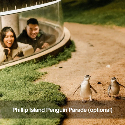 12 Apostles & Great Ocean Road Helicopter Tour