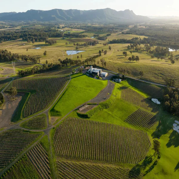 Picnic Proposal in Hunter Valley at Bimbadgen Winery