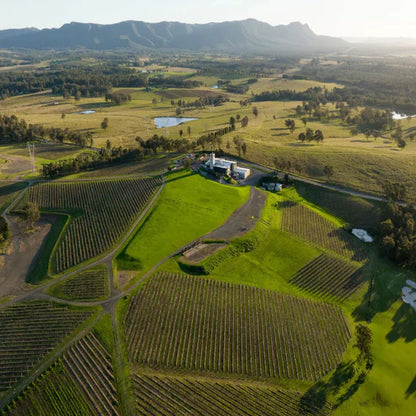 Picnic Proposal in Hunter Valley at Bimbadgen Winery