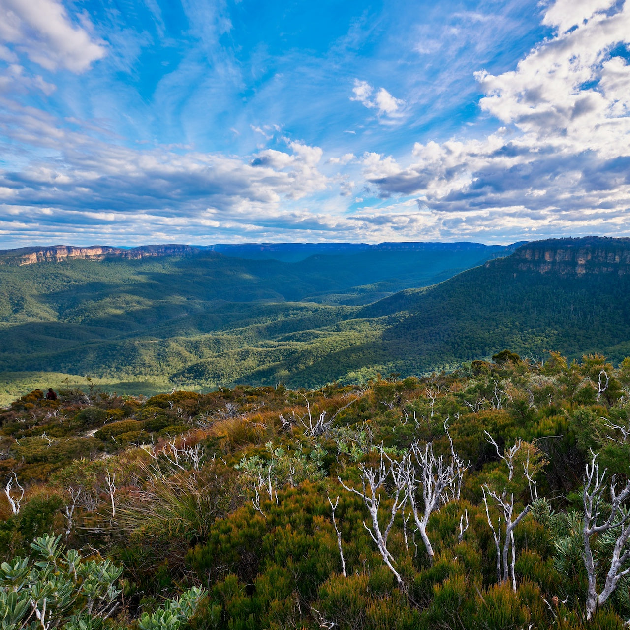 Blue Mountains Private Helicopter Experience