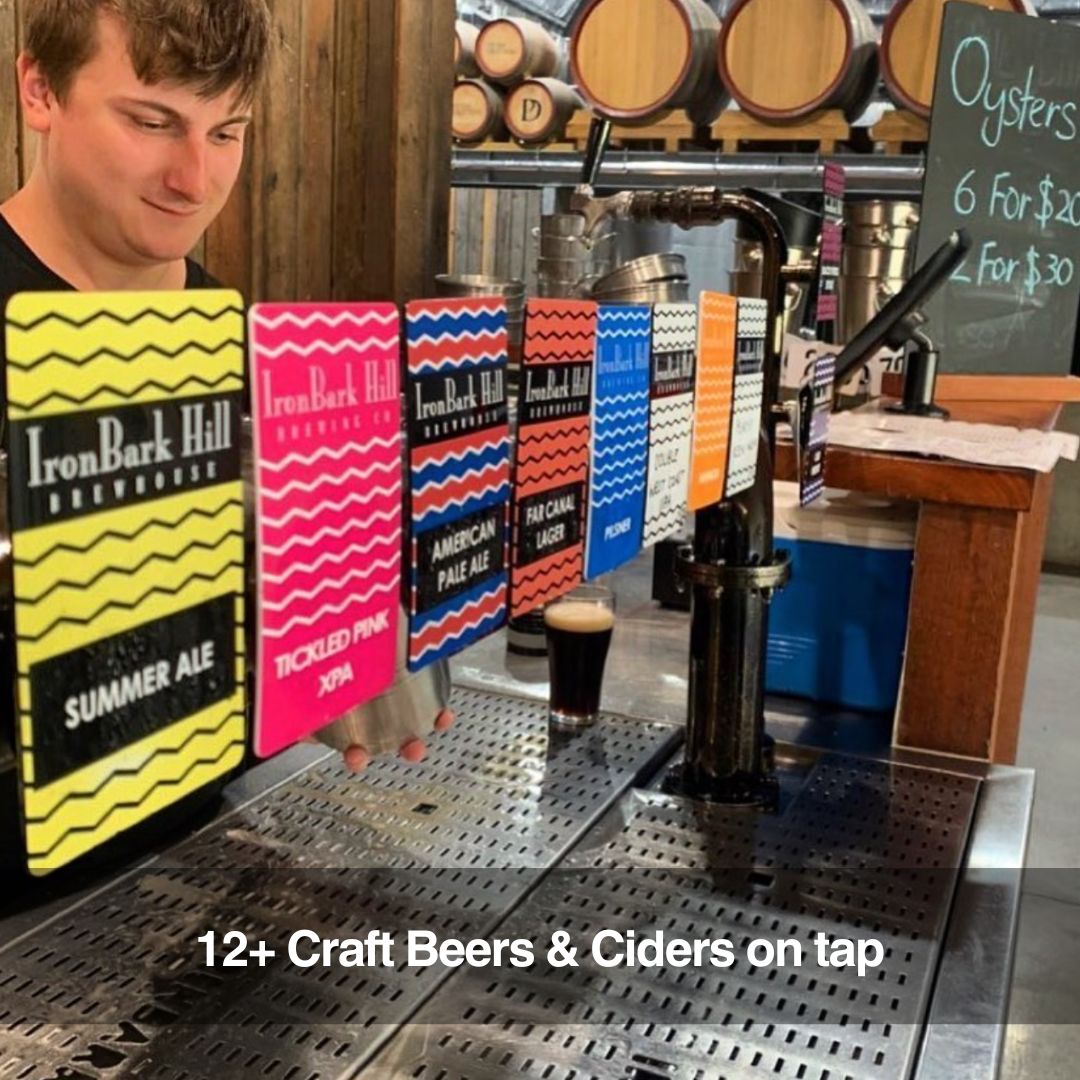 Craft beers & ciders during Sydney pub crawl