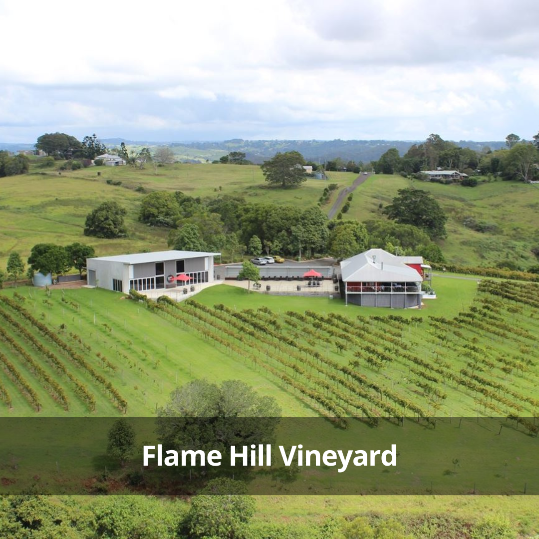 Flame Hill Vineyard Helicopter Tour
