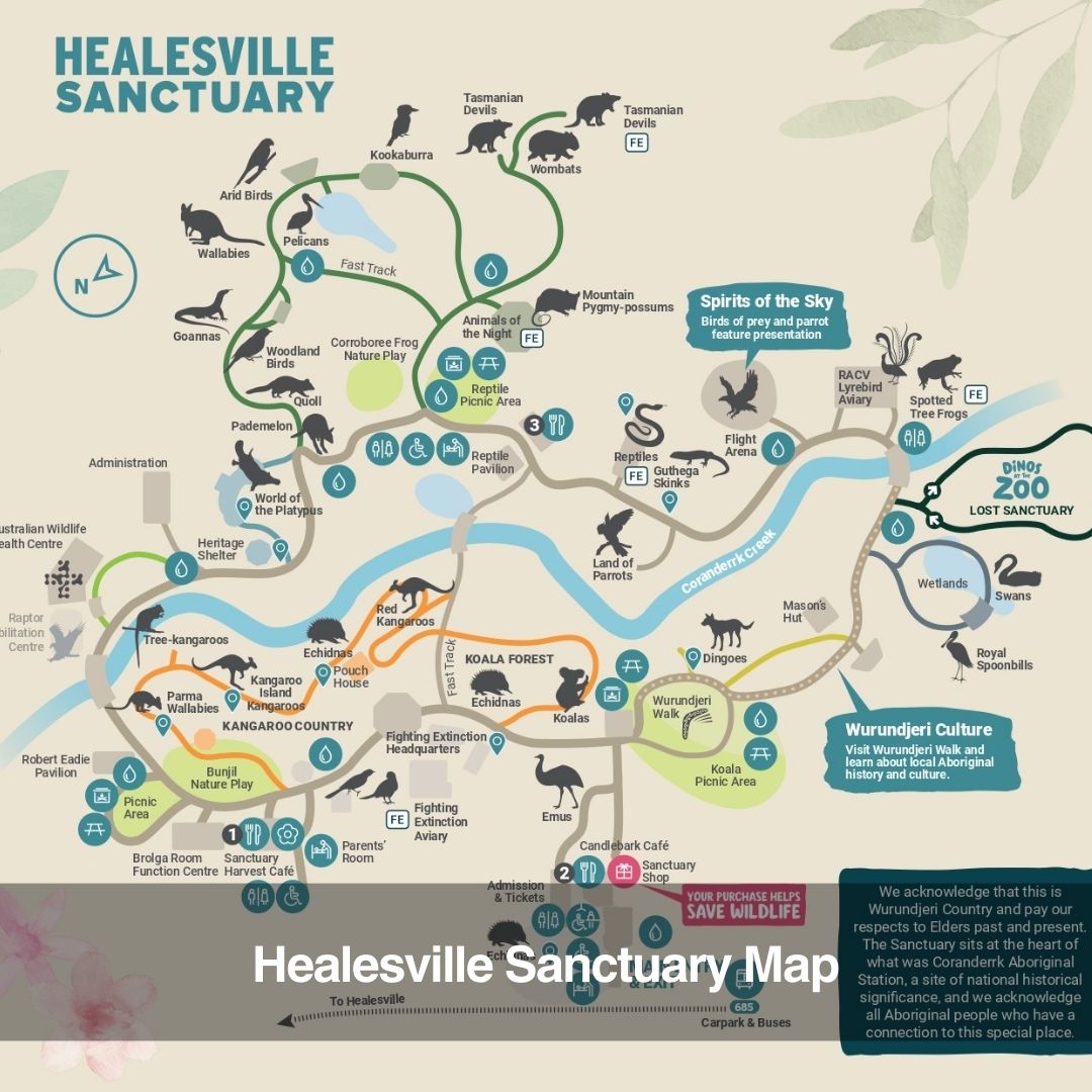 Healesville Wildlife Sanctuary Tour