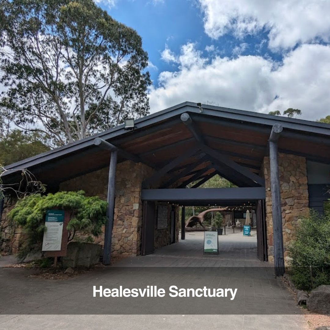 Healesville Wildlife Sanctuary Tour