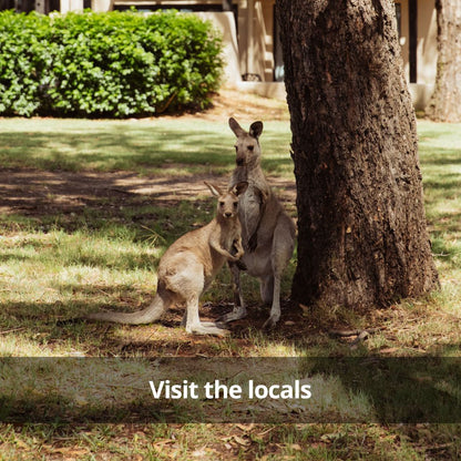 Tower Lodge in Hunter Valley