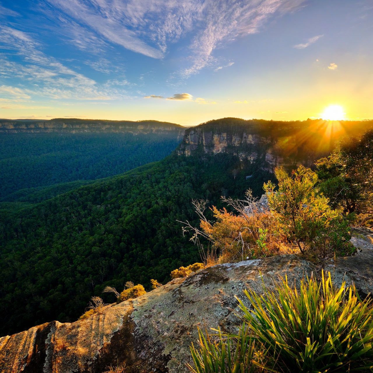 Helicopter Ride Blue Mountains