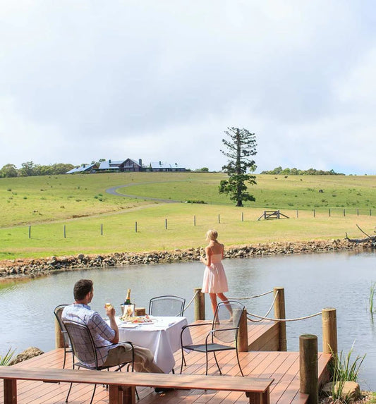 Mountain Picnic Proposal at Spicers Peak Lodge