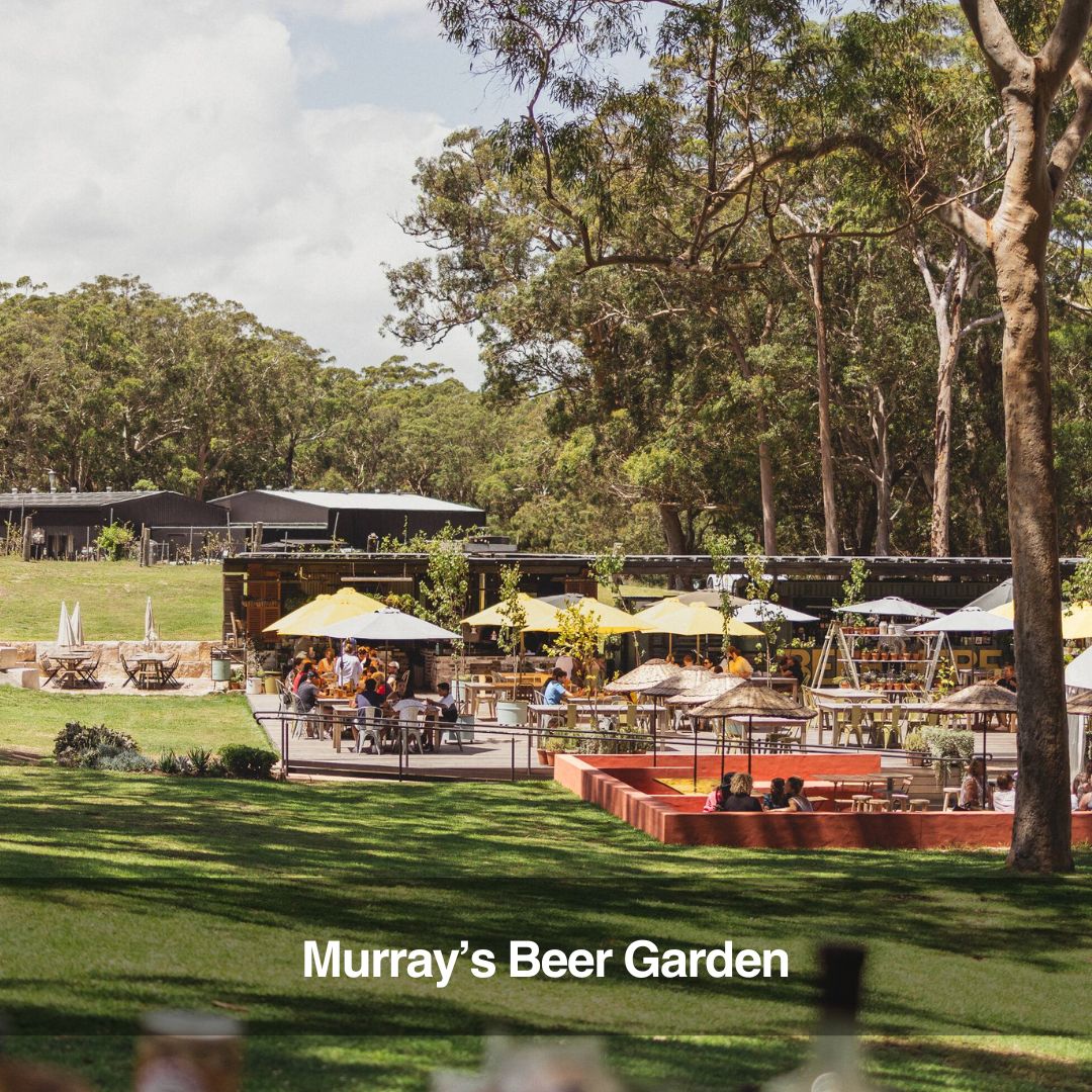 Pub crawl at Murray's Beer Garden