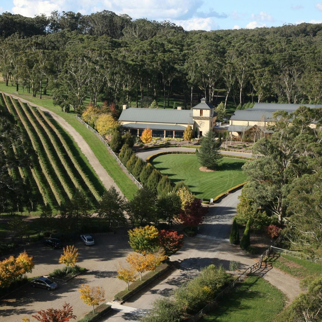 Wine tasting helicopter tour to Centennial Vineyards