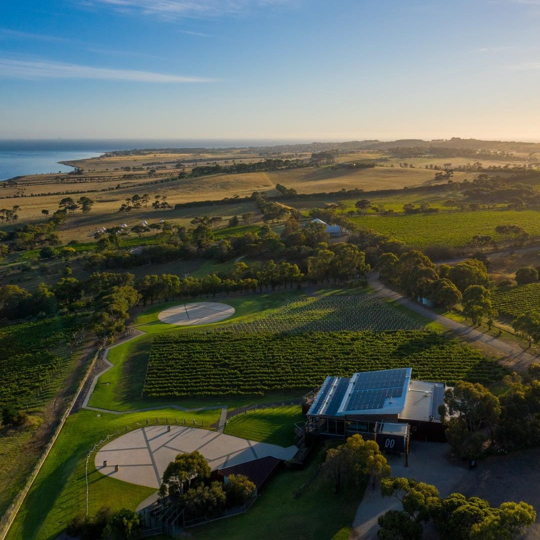 Jack Rabbit Winery Lunch Tour by Helicopter With Rotor One.