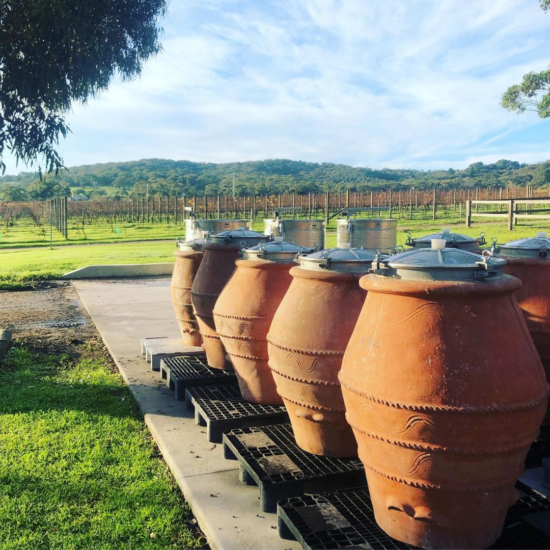 Trofeo Estate Winey Tour by Helicopter in the Mornington Peninsula