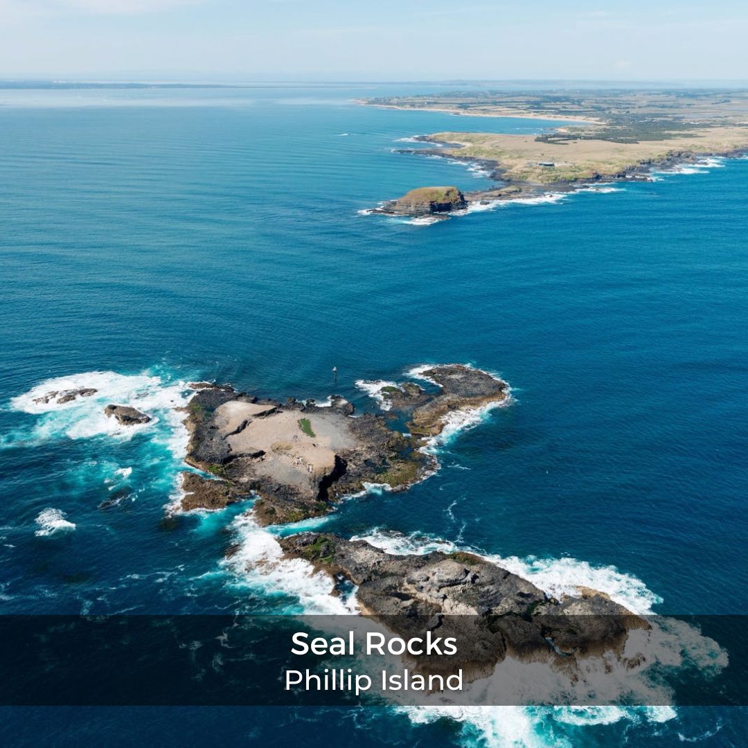 Helicopter Ride from Melbourne to Phillip Island