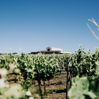 Mt Duneed Estate Winery Tour by Helicopter from Melbourne with Rotor One