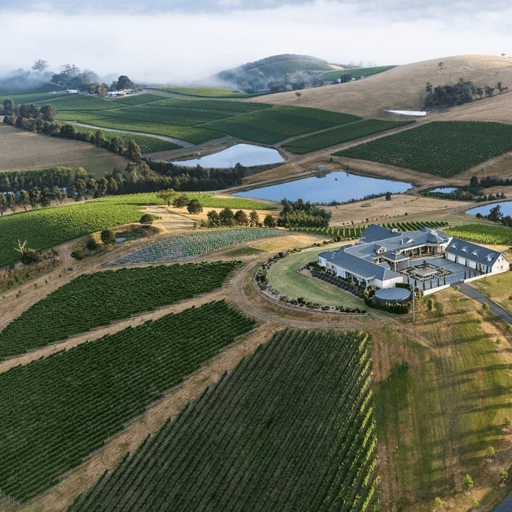 Levantine Hill Winery Tours by Helicopter from Melbourne to Yarra Valley with Rotor One