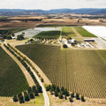 Meletos and Stones of the Yarra Valley Winery Tour by Helicopter from Melbourne with Rotor One